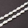 Natural Trochid Shell/Trochus Shell Beads SSHEL-O001-23B-4
