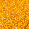 FGB Transparent Glass Seed Beads SEED-N013-01B-11-3