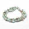Natural Larimar Beads Strands G-P302-03-2