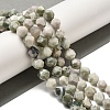 Natural Peace Jade Beads Strands G-K382-A15-02-2