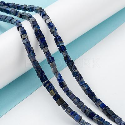 Natural Lapis Lazuli Beads Strands G-F631-K05-1