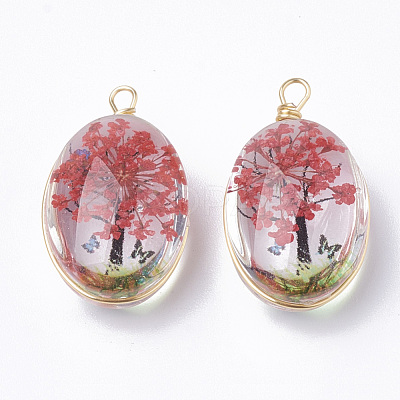 Glass Pendants GLAA-Q070-004-1