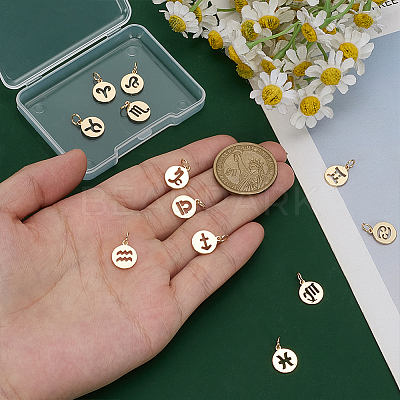12Pcs 12 Styles Flat Round with Twelve Constellations Brass Charms PALLOY-WR00028-1