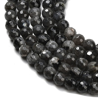 Natural Larvikite Beads Strands G-C280-B06-6mm-1