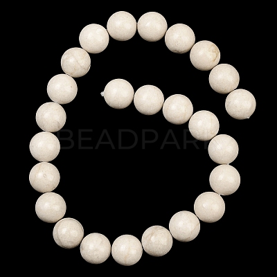 Natural Petrified Wood Beads Strands G-L648-A03-16mm-01-1
