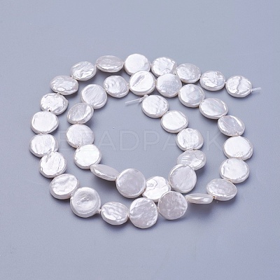 Shell Pearl Beads Strands X-BSHE-P030-01C-1