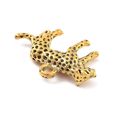 Tibetan Style Alloy Charms X-FIND-G077-02AG-1