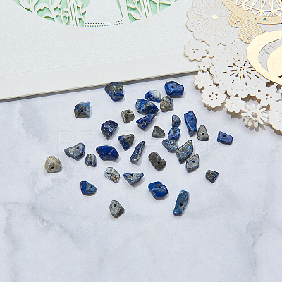 Natural Lapis Lazuli Chip Beads G-CJ0001-25-1