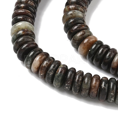 Natural Biotite Beads Strands G-B155-B04-4x10mm-1