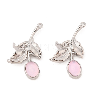 Alloy & Resin Pendants LS-FIND-Z053-04A-02-1