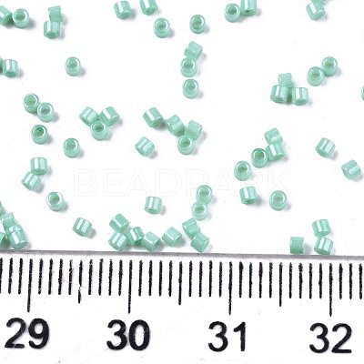 FGB 11/0 Grade A Baking Paint Glass Seed Beads SEED-S030-1036-1