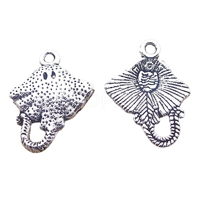 Tibetan Style Alloy Pendant FIND-CJC0018-45AS-1