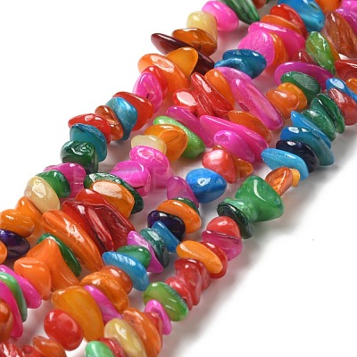 Natural Shell Beads Strands BSHE-G029-01A-1