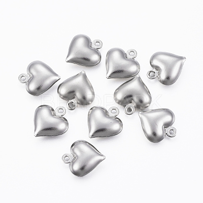 Non-Tarnish 304 Stainless Steel Charms X-STAS-H413-16P-1