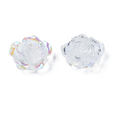 Transparent Resin Cabochons CRES-N030-001B-06-1