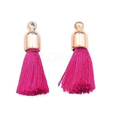 Polyester Tassel Pendant Decorations FIND-S286-14-1