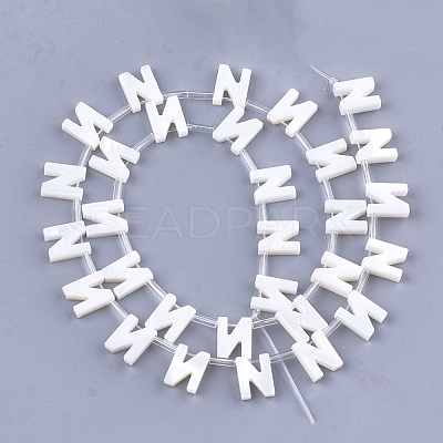 Natural Freshwater Shell Beads SHEL-T012-59N-1
