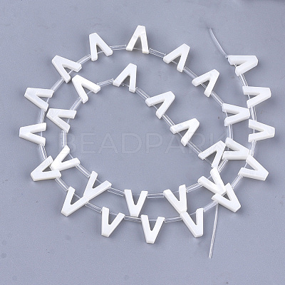 Natural Freshwater Shell Beads SHEL-T012-59V-1