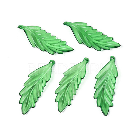 Transparent Plastic Big Pendants KY-N025-11-1