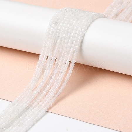Natural Rainbow Moonstone Beads Strands G-I353-04-1