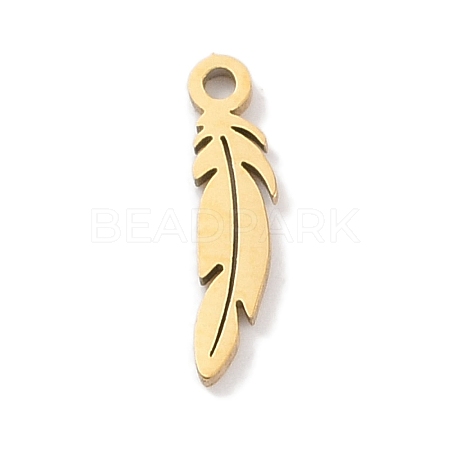 304 Stainless Steel Charms STAS-K286-01G-G-1