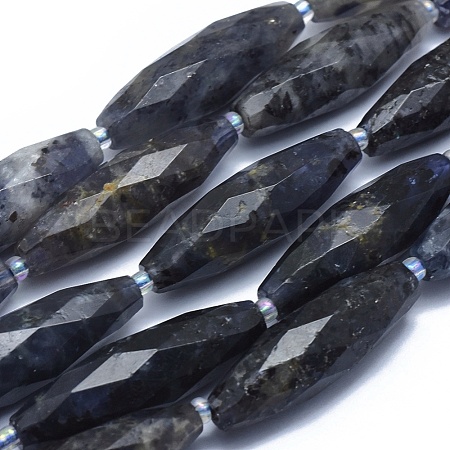 Natural Iolite Beads Strands G-O179-G22-1