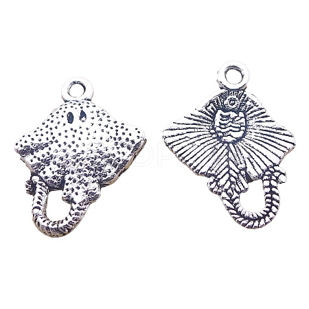 Tibetan Style Alloy Pendant FIND-CJC0018-45AS-1