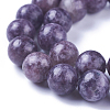 Natural Lepidolite/Purple Mica Stone Beads Strands G-I244-01A-3
