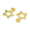 Tibetan Style Alloy Charms LS-K0NYK011-2