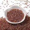 Glass Seed Beads SEED-S042-13A-17-2