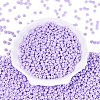 Opaque Glass Seed Beads SEED-N012-09A-13-2