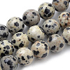 Natural Dalmatian Jasper Beads Strands X-G-S259-24-6mm-1