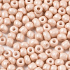 6/0 Glass Seed Beads SEED-S058-A-F209-3