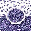 Glass Seed Beads SEED-T009-02M-1
