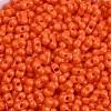Baking Paint Glass Seed Beads X1-SEED-K010-A10-2