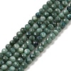 Natural Freshwater Shell Dyed Beads Strands SHEL-R100-12A-05-1