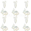 6Pcs 2 Styles Natural White Shell Beads BSHE-CJ0001-05-3