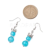 Baking Paint Imitation Jade Glass Dangle Earrings EJEW-JE06619-02-4