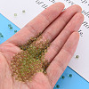 Transparent Acrylic Beads MACR-S373-62B-06-5