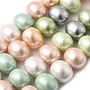 Shell Pearl Beads Strands BSHE-F013-01H-1