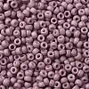 TOHO Round Seed Beads SEED-XTR08-0766-2