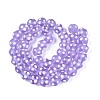 Frosted Handmade Lampwork Beads LAMP-Q039-10E-2