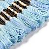 10 Skeins 6-Ply Polyester Embroidery Floss OCOR-K006-A11-2