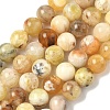 Natural Yellow Opal Beads Strands G-I213-18-8mm-1
