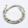 Natural Aqua Terra Jasper Beads Strands G-E444-18-2