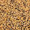 6/0 Inside Colours Transparent Glass Seed Beads SEED-T007-07F-2