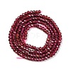 Natural Garnet Beads Strands X-G-F770-D02-02-3