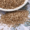 MIYUKI Delica Beads X-SEED-J020-DB1802-1