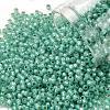 TOHO 11/0 Round Beads X-SEED-TR11-PF2119-1