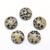 Natural Dalmatian Jasper Cabochons G-P393-R33-10MM-1